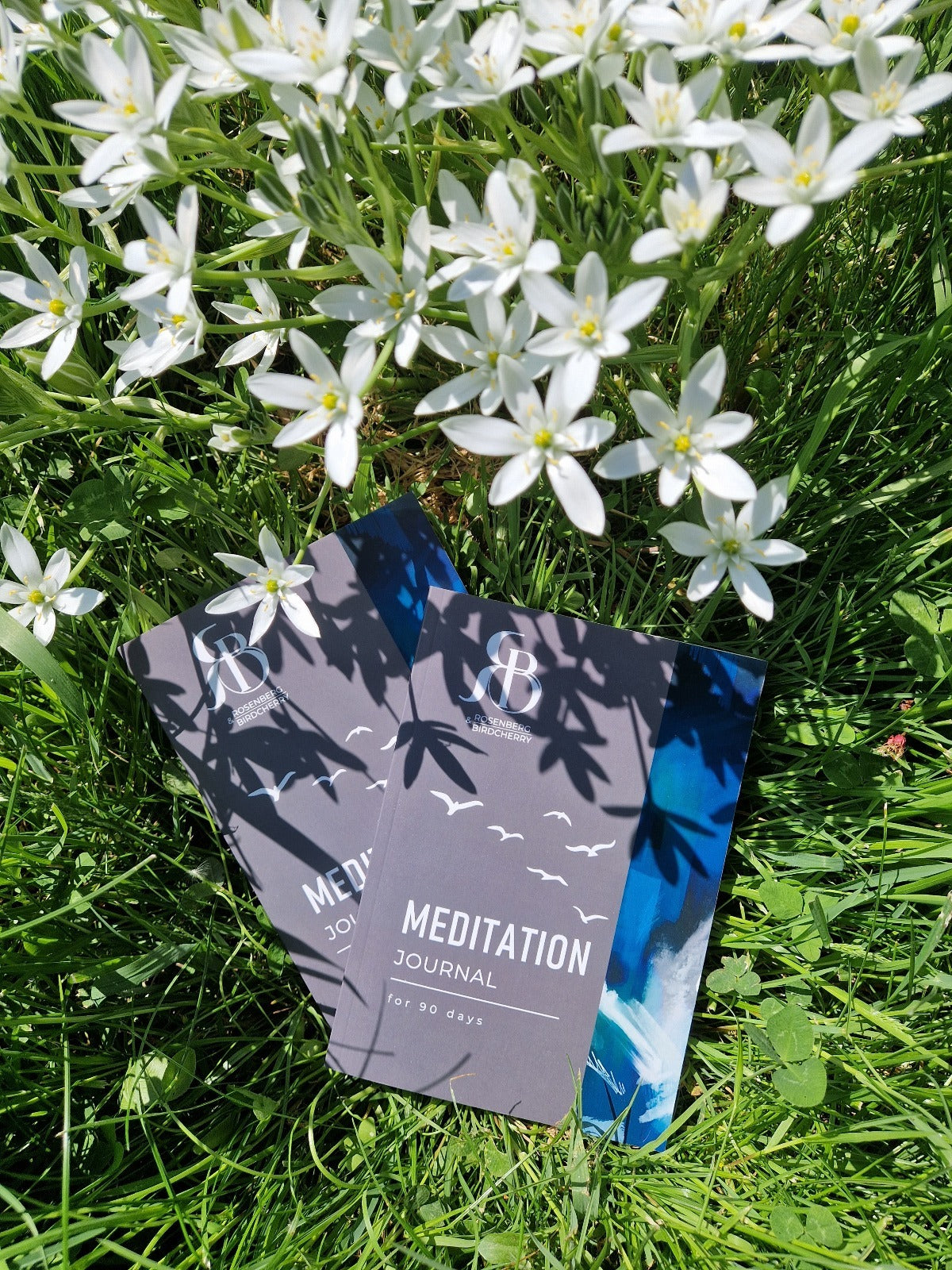 Meditāciju dienasgrāmata.