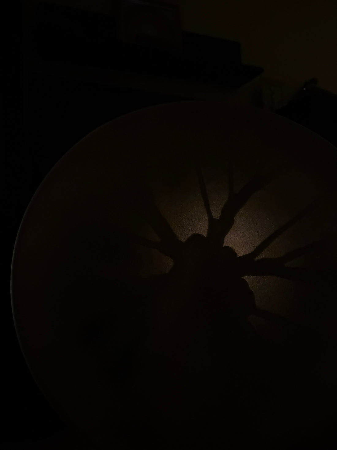 Viņi bija dzirkstele. Tu esi uguns.