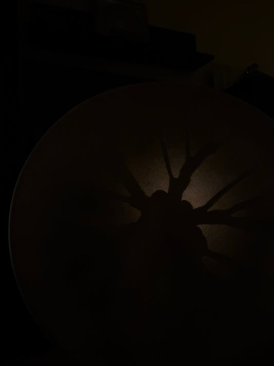 Viņi bija dzirkstele. Tu esi uguns.