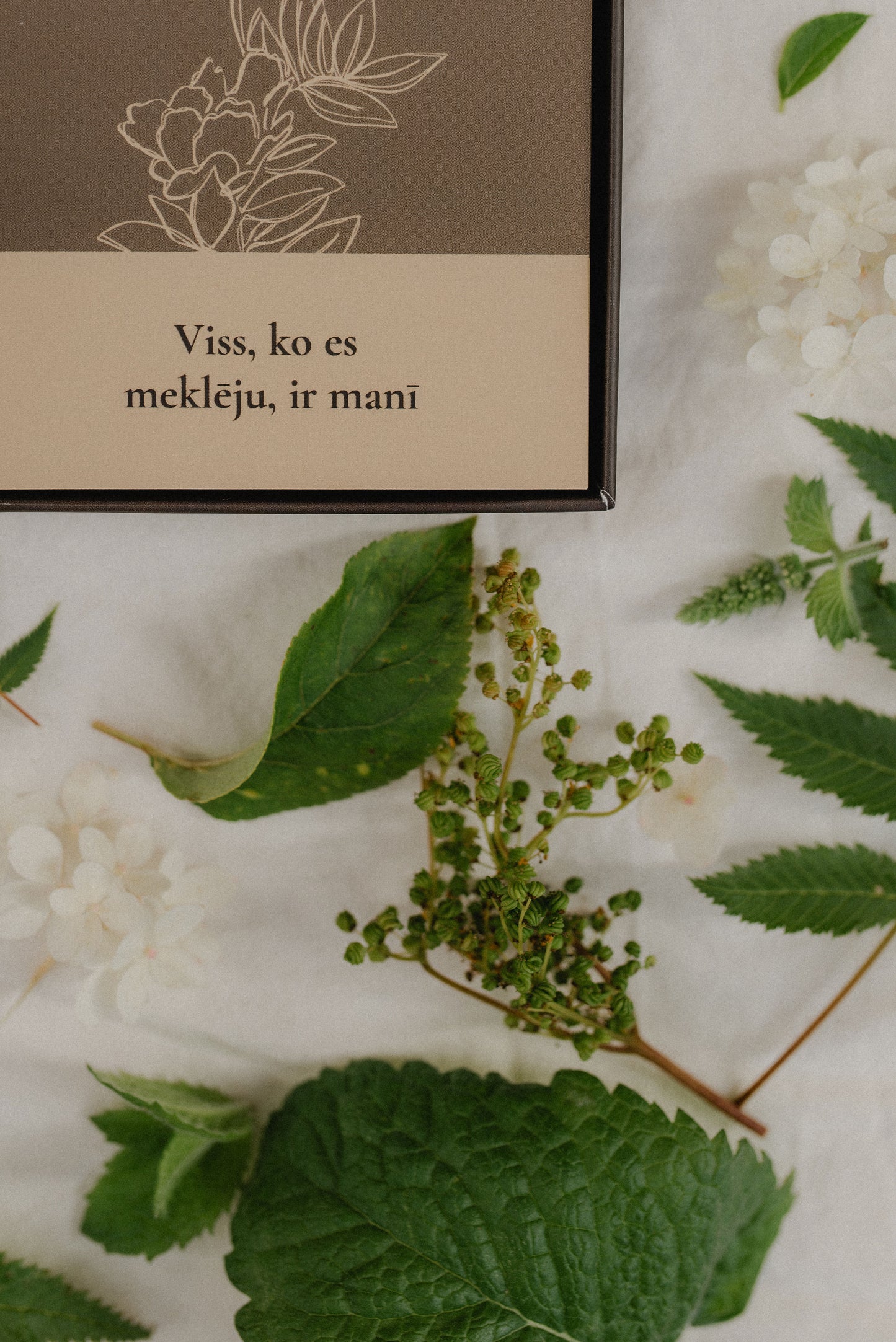 Afirmāciju kārtis